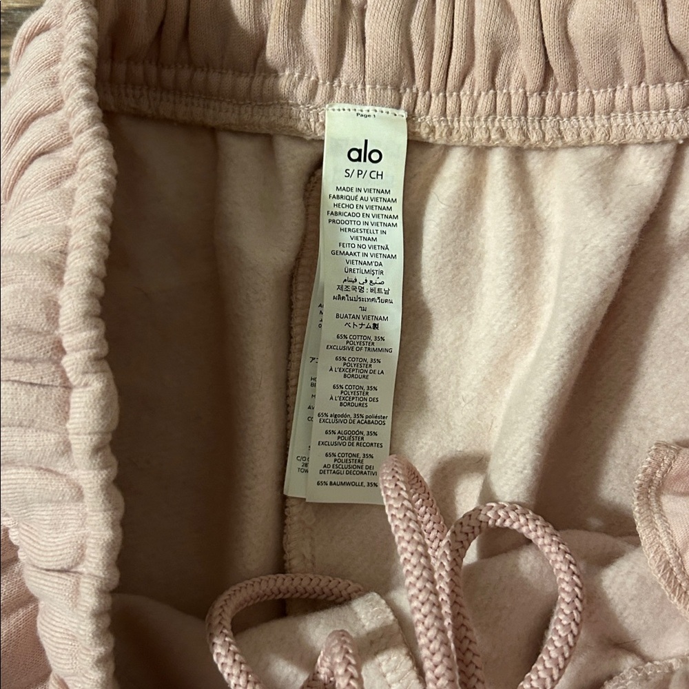 ALO Accolade Jogger Sweatpants - Picture 3 of 4